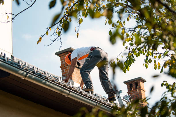 Best Roof Repair Services  in Kekaha, HI