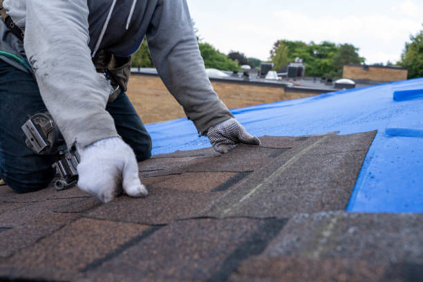 Best Roof Waterproofing Services  in Kekaha, HI